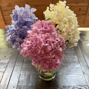 Fundraising Page: Heather Breitbeil